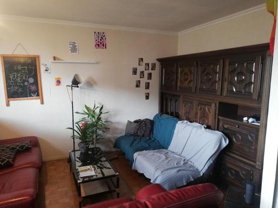 Intérieur du salon. Plusieurs canapés confortables (je parle d'expérience), une table basse avec une plante, des photos et des dessins sur les murs.