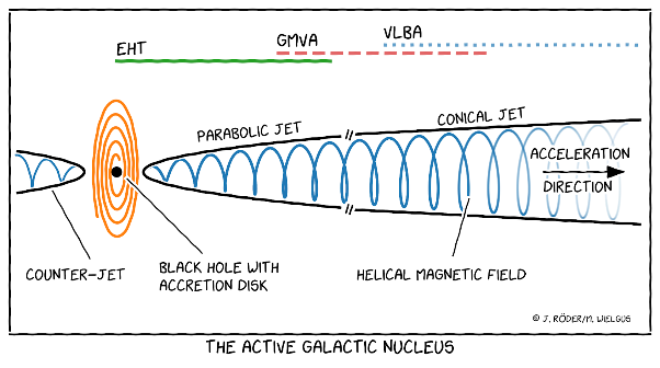 Schematic view of an active galactic nucleus (AGN). The relativistic jet is launched from the black hole and its accretion disk in a parabolic geometry, later transitioning to a conical appearance. Credit: J. Röder/M. Wielgus.