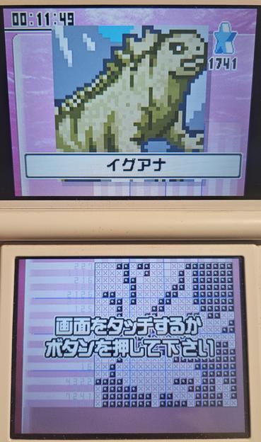 Iguana in the nonogram puzzle game Illustlogic DS + Colorful Logic for the Nintendo DS.