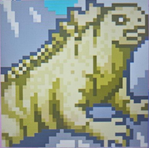 Close up of the iguana.