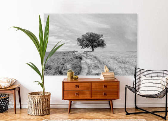 A black and white landscape standing in the middle of a Kansas farm. A single tree stands beside a dirt road that splits the field with one side featuring wheat and the other side has some vegetation of some sort. 
https://5-jennifer-white.pixels.com/featured/kansas-field-tree-and-road-grayscale-jennifer-white.html
#blackandwhitephotography #treeart #buyinotart #interiordesign #largeart