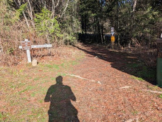 view of the past leading up to the trailhead on the Lincoln road side of Antoine Peak. this morning you can see my shadow cast into the entrance with the no motorized vehicle sign on the left and the yield triangle down the way.
