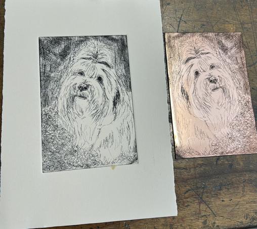 A print that uses the hard ground process. The plate that creating the print. Pretty dog (Tibetan Terrier) called Flossie.