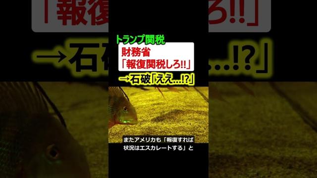 財務省「報復関税やれ!!」→石破「ええ…??」【トランプ関税】