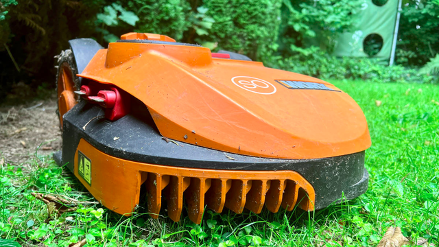 Symbolfoto Mähroboter