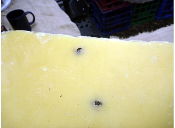 Bees wax.