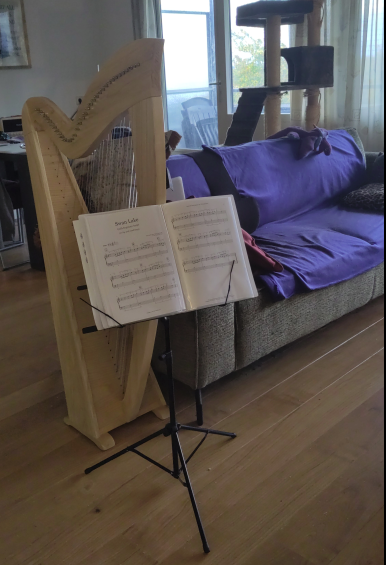 Picture of my lever harp with a music stand in front of it. They're next to a couch with a blue cover.