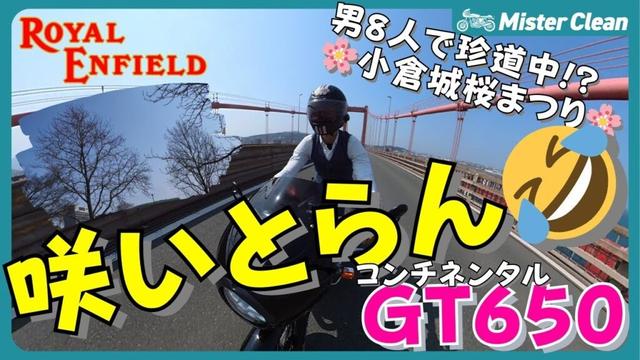 【🌸悲報】桜まつりなのに咲いとらん！？男8人で行く北九州ツーリング珍道中【ロイヤルエンフィールド GT650 モトブログ】