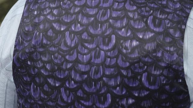 Air New Zealand uniform: How the public reacted to Emilia Wickstead’s designs