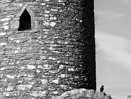 A black and white close-up of a weathered stone round tower with a small window and a bird perched on its base against a light sky.