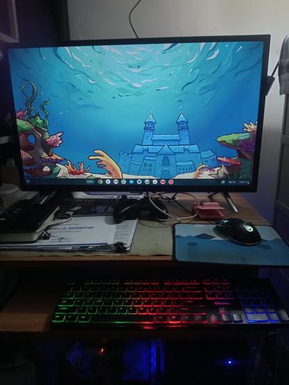 ChromeOS Flex desktop.