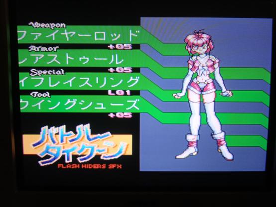 Foto della scheda di un personaggio femminile. Sulla parte destra c'è un'immagine in pixel art di una guerriera dai capelli rosa. A sinistra ci sono le scritte giapponesi, con la traslitterazione in inglese di 4 statistiche: weapon, armor, special e tool.