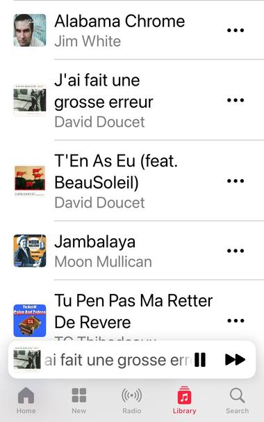 An image of a iTunes playlist  displaying songs, including titles and artists. Featured tracks include "Alabama Chrome" by Jim White and "J'ai fait une grosse erreur" by David Doucet, among others. Mostly southern Americana like Cajun, Ceole, country, blues