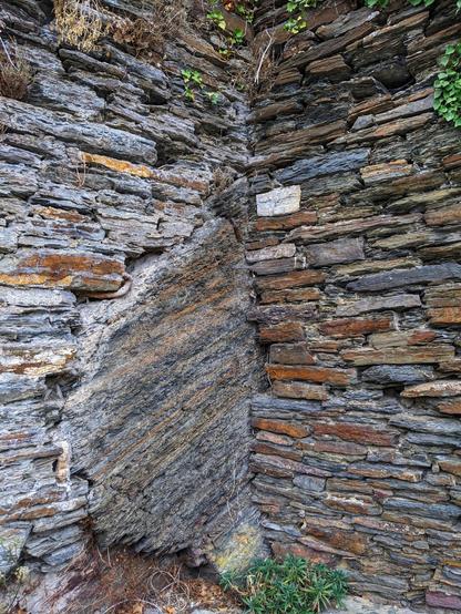 A close-up photograph shows a corner where two dry-stone walls meet, revealing the construction details and the natural variations in the stone. The walls are built from thin, irregular pieces of slate or similar layered rock, stacked horizontally without mortar. The stones exhibit a range of colours, including greys, browns, and hints of rust, creating a textured and aged appearance.
At the corner, a large, roughly triangular section of a different type of rock is visible, embedded within the wall. This rock has distinct diagonal striations of dark grey and lighter, almost golden-brown hues. It appears to be a more solid, less layered type of stone compared to the surrounding wall material.
Small patches of greenery, including moss and tiny plants, are growing in the crevices between the stones, particularly near the top and bottom of the frame, indicating the age and weathering of the structure. The ground at the base of the walls is covered with loose stones and sparse vegetation.