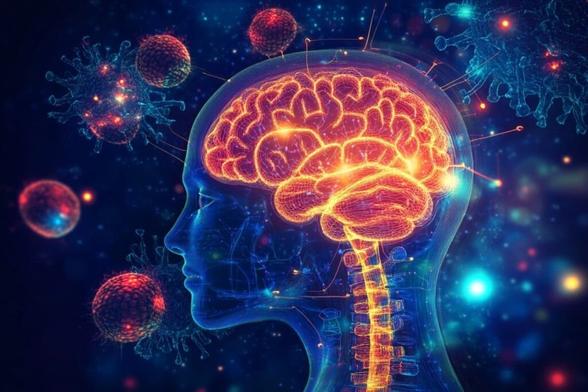 This shows a head and a brain.