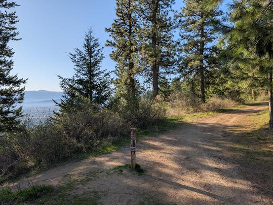 view of the trail steak at the Canfield gulch trail junction. the trail goes off to the right heading for the emerald necklace and the top, to the left. up to the valley which has a hazy layer coating it. in the distance is the range that carries Mica Peak. The sun is out. the air is cool and there's nowhere I'd rather be.