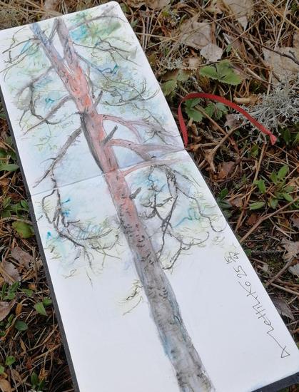 An open sketchbook on the ground, surrounded by dead tree leaves and some newly sprouted wild strawberry leaves. The circle of life, friends.
