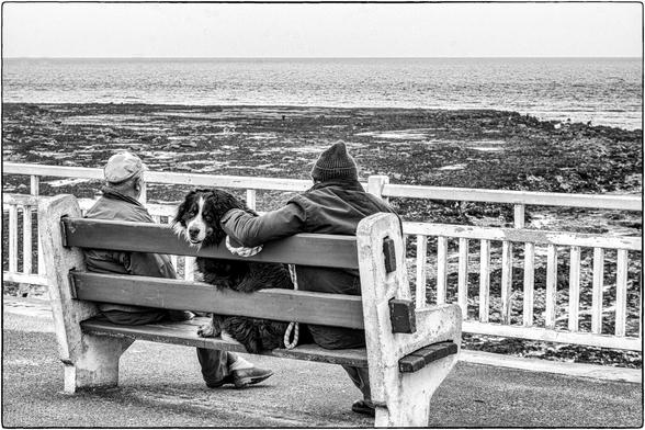 Schwarzweissfotografie einer Bank am Meer hinter einem Geländer. Zwei Männer sitzen auf der Bank und schauen auf das Meer, ein grosser Hund zwischen den Männern schaut in die Kamera.
