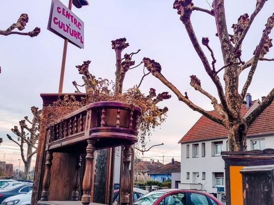 Furniture around trees