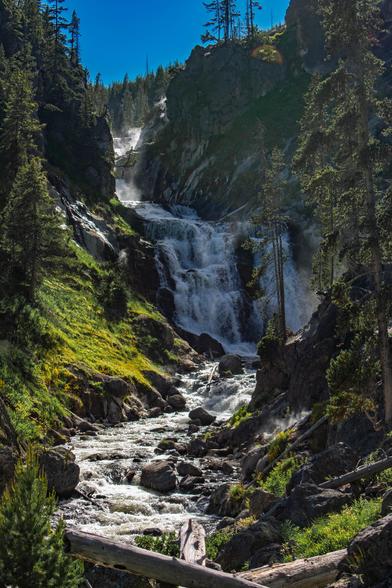 A powerful waterfall crashes down a rocky cliff in the middle of a forest in Yellowstone National Park. Mist rises around the falls as sunlight streams through tall pine trees, lighting up green grass, wildflowers, and a rocky stream below. It’s wild, loud, and gorgeous.