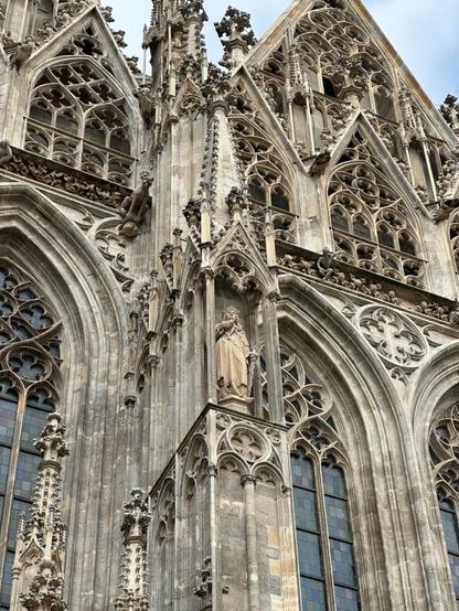 a view of one face of a gothic cathedral, with a surfeit of complex arch windows at various scales, spires and alcoves with statues