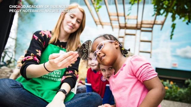 Earth Day 2025: How to talk about climate change with kids, preparing for natural disasters from Illinois weather and more