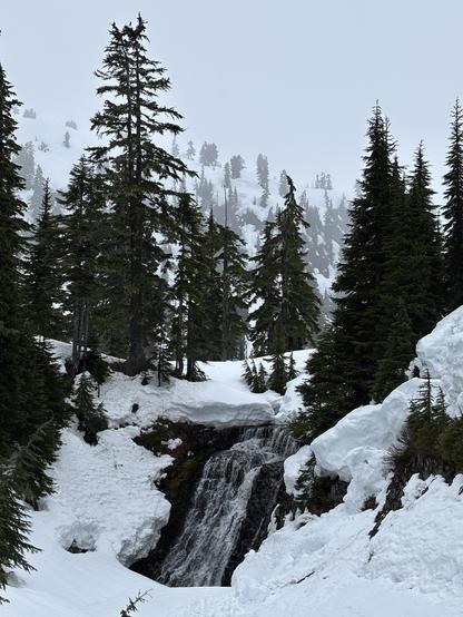Waterfall on mountain surrounded by snow with trees Washington State