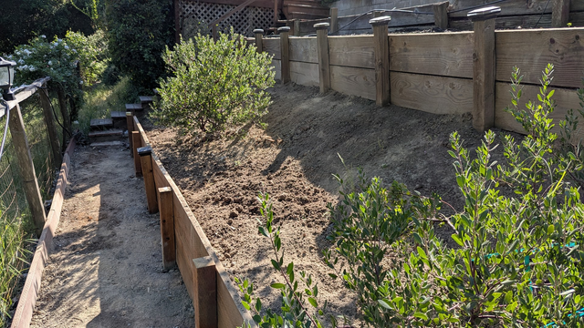 Leveled run way for the dog, retaining wall with posts ever 4 feet, 30 degree dirt slope with some manzanita bushes, another retaining wall.