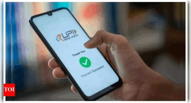 Delegated payments with full control: All you need to know about UPI Circle