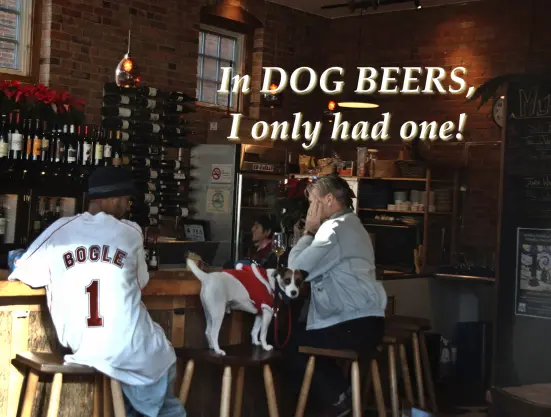 The interior of a dog-friendly bar with exposed brick walls showing two patrons seated on wooden bar stools. One person wears a white baseball jersey with "BOGLE #1" on the back. A small white and brown dog wearing a red outfit stands on a bar stool between the two people. Wine bottles are displayed on racks along the wall, and the bar has a rustic wooden design. Superimposed on the image is humorous text reading "In DOG BEERS, I only had one!" in glowing letters. The establishment has pendant lighting and appears cozy with holiday decorations visible including some red poinsettias.