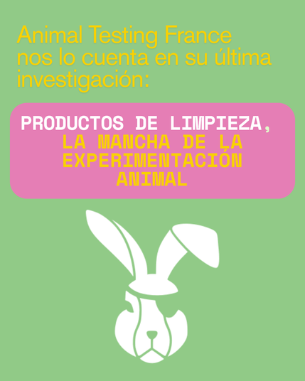Fondo verde, en letras amarillas : Animal Testing France nos lo cuenta en su última investigación:

En un rectángulo rosa con letras blancas y amarillas el texto: Productos de limpieza, la mancha de la experimentación animal.
En blanco el logo de Animal Testing France, dibujo de la cabeza de un conejo blanco con un parche en el ojoizquierdo