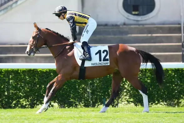 Quinté+: Quinté+ du dimanche 27 avril : Times Warrior, la note intégrale en dernier lieu