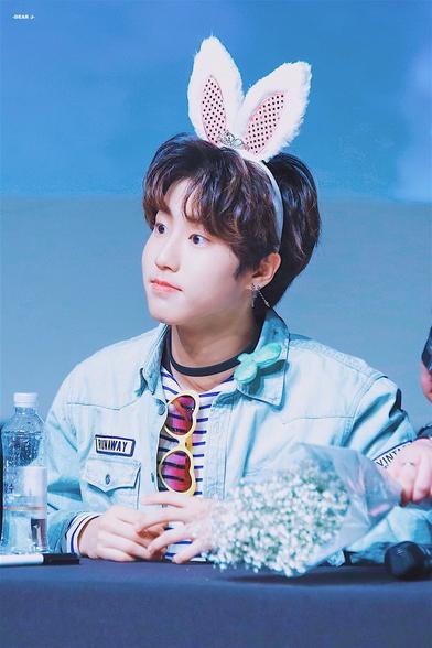 A photo of a Stray Kids member.