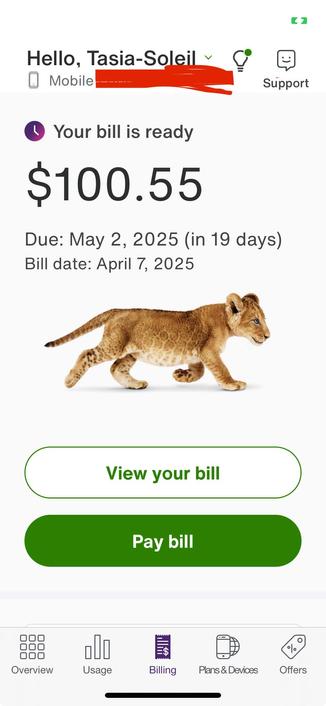 a screenshot of tasia's phone bill for $100.55 due on may 2 that includes a hyper-real picture of a lion cub walking by.