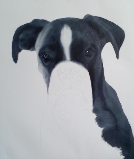a painting , it is partially finished, the bottom left section, the dog's nose , mouth, and chest blank, a white background, it is a black boxer dog with a white stripe down its forehead and nose , looking at the viewer from its chest up
