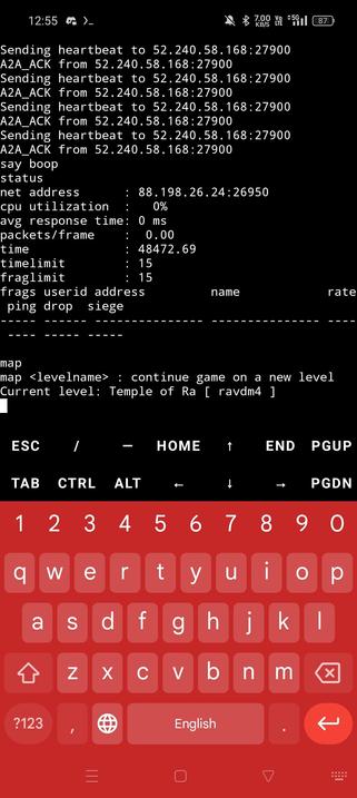 Mobile screenshot of a terminal, taking control of a game server.