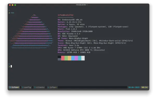 Screenshot of Fastfetch showing the system details in a Terminal window.