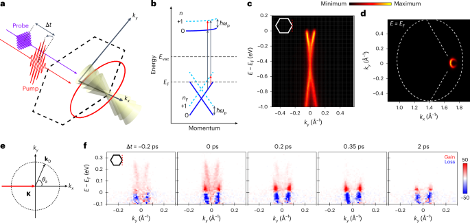 Observation of Floquet–Bloch states in monolayer graphene