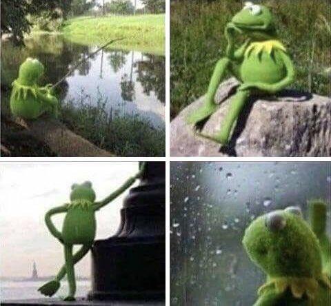 Kermit the Frog fishing and pondering the mysteries of the universe