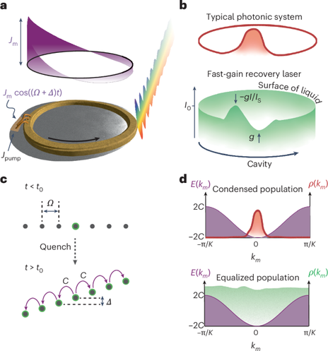 Collective quench dynamics of active photonic lattices in synthetic dimensions