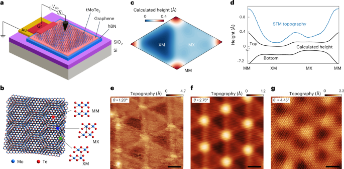 Microscopic signatures of topology in twisted MoTe2