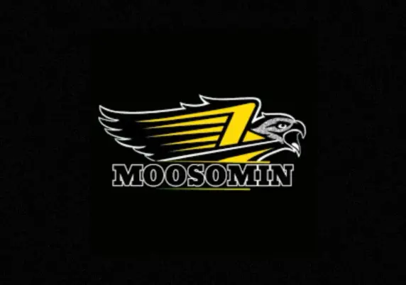 Prairie Junior Hockey League expanding to Moosomin | GX94 Radio - Now That's Country!