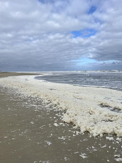 Zeeschuimkraag in de branding