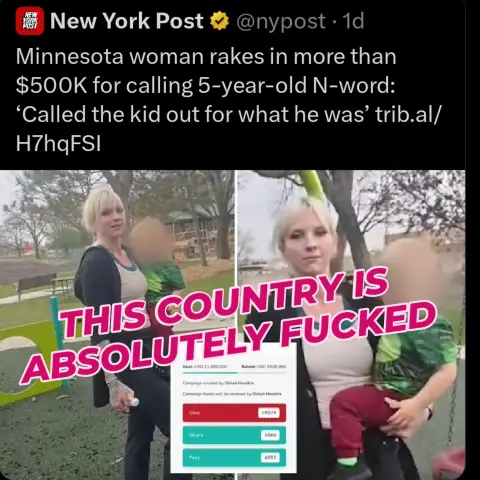 A new york post story about a white woman calling a black baby the n word and getting over 500,000 dollars in a godundme from racist losers