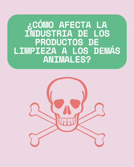 Fondo rosa, en un rectángulo verde en letras blancas el texto: ¿Cómo afecta la industria de los productos de limpieza a los demás animales?
Debajo el dibujo de una calavera con dos tibias cruzadas por detrás