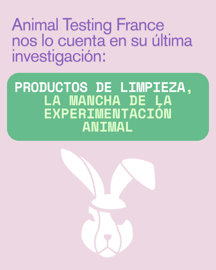 Fondo rosa, en letras moradas : Animal Testing France nos lo cuenta en su última investigación:

En un rectángulo verde con letras blancas y amarillas el texto: Productos de limpieza, la mancha de la experimentación animal.
En blanco el logo de Animal Testing France, dibujo de la cabeza de un conejo blanco con un parche en el ojoizquierdo