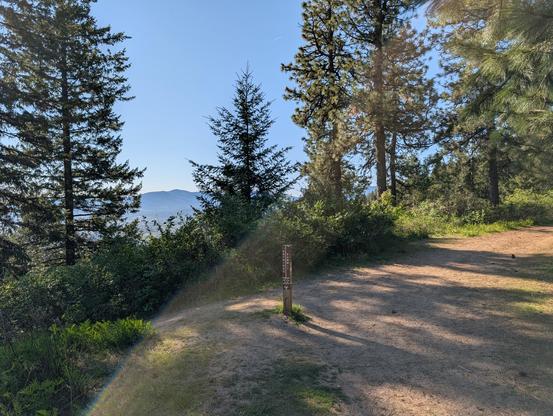 view of the trail at the Canfield gold's Trail junction. you can see the steak planted stating the peak is just ahead. the trail goes off to the right and in front of us looks out down over the valley. there are a number of trees obscuring The view, but you could see the deep blue mountain range in the background that has Mica Peak