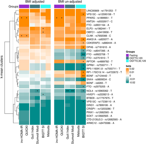 Exploring the genetic intersection between obesity-associated genetic variants and insulin sensitivity indices