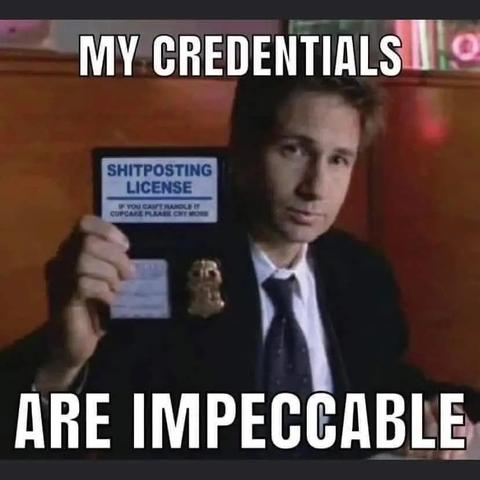 my credentials are perfect meme image