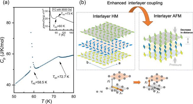 Surprising pressure-induced magnetic transformations from helimagnetic order to antiferromagnetic state in NiI2